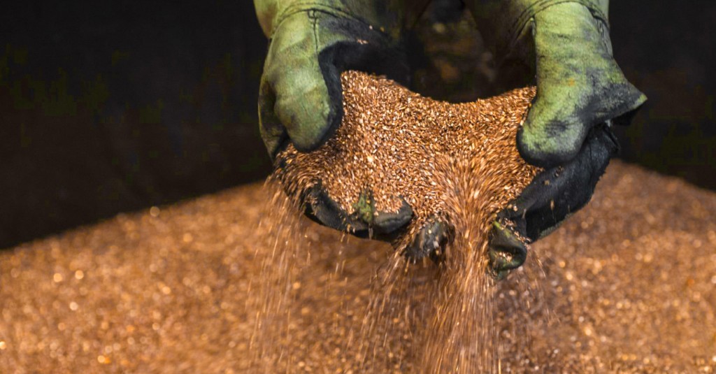 Hands inspecting metal granules during sourcing